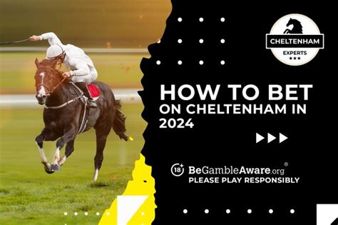 how to bet on cheltenham